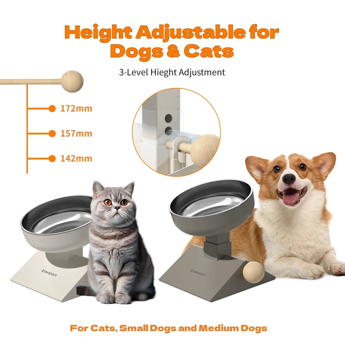 Elevated Dog Bowls